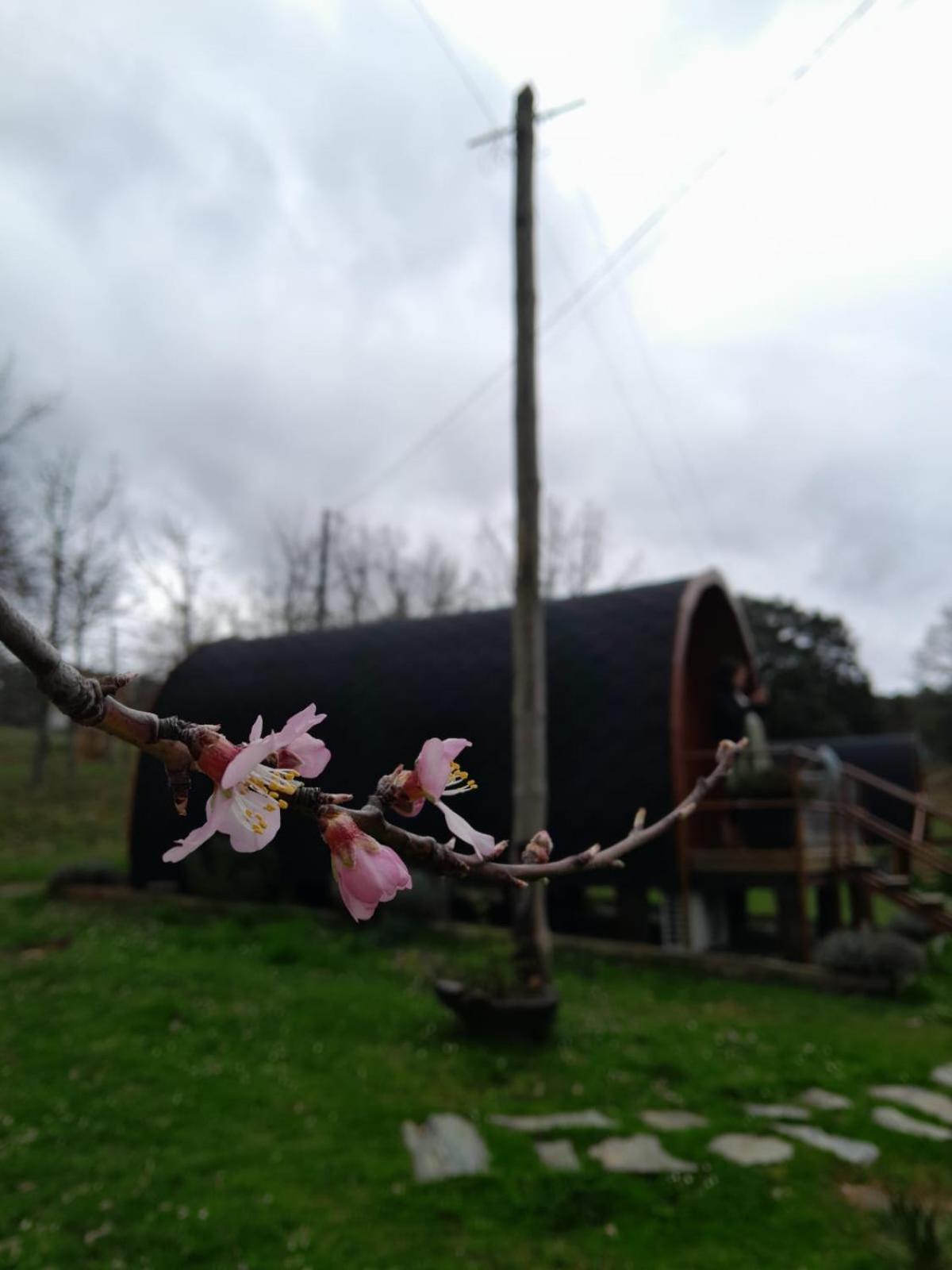 Apartament Quinta Da Devesa B1 Vinhais Zewnętrze zdjęcie