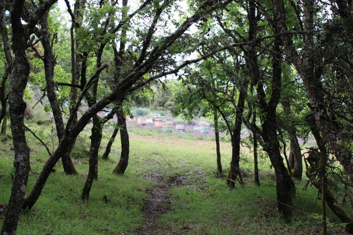 Apartament Quinta Da Devesa B1 Vinhais Zewnętrze zdjęcie